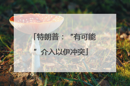 特朗普：“有可能”介入以伊冲突