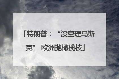 特朗普：“没空理马斯克” 欧洲抛橄榄枝