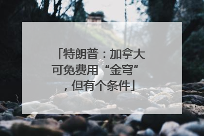 特朗普：加拿大可免费用“金穹”，但有个条件