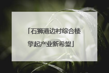 石狮港边村综合楼擎起产业新希望