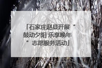 石家庄赵县开展“鼓动夕阳 乐享晚年”志愿服务活动