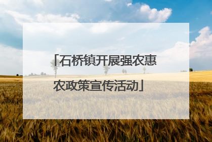 石桥镇开展强农惠农政策宣传活动