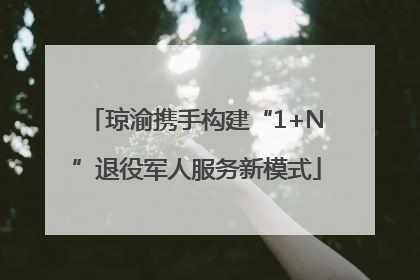 琼渝携手构建“1+N”退役军人服务新模式
