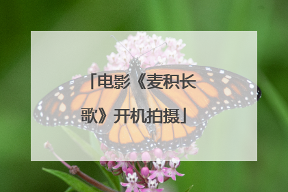 电影《麦积长歌》开机拍摄