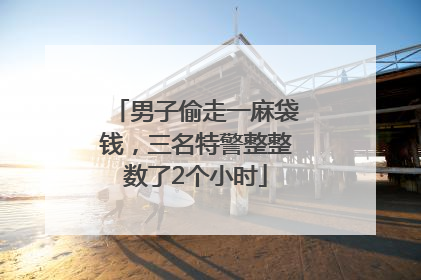 男子偷走一麻袋钱，三名特警整整数了2个小时