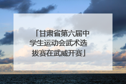 甘肃省第六届中学生运动会武术选拔赛在武威开赛