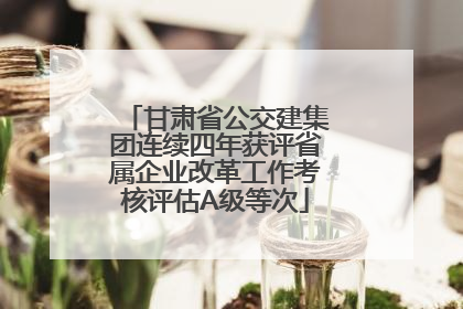 甘肃省公交建集团连续四年获评省属企业改革工作考核评估A级等次