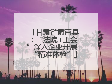 甘肃省肃南县：“法院+工会”深入企业开展“精准体检”