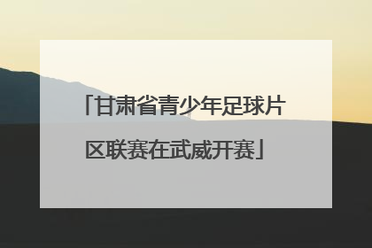 甘肃省青少年足球片区联赛在武威开赛