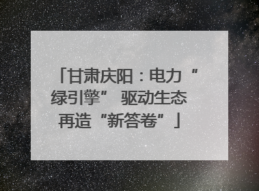 甘肃庆阳：电力“绿引擎” 驱动生态再造“新答卷”