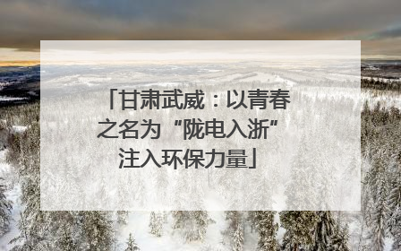 甘肃武威：以青春之名为“陇电入浙”注入环保力量