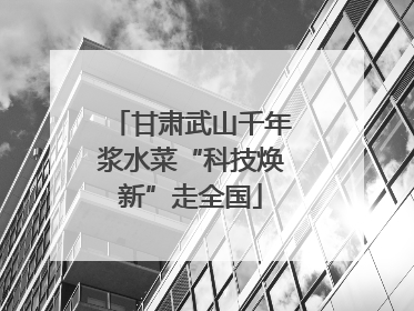 甘肃武山千年浆水菜“科技焕新”走全国