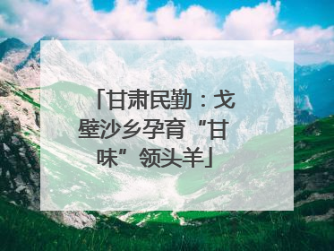 甘肃民勤：戈壁沙乡孕育“甘味”领头羊