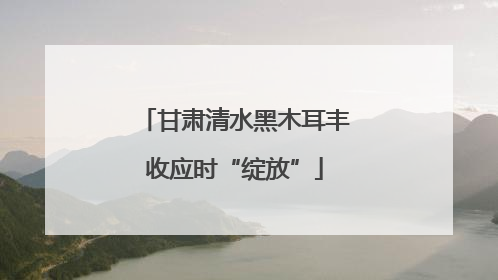 甘肃清水黑木耳丰收应时“绽放”