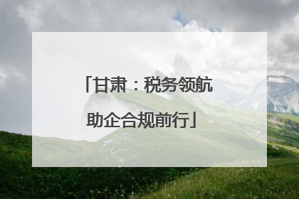 甘肃：税务领航 助企合规前行