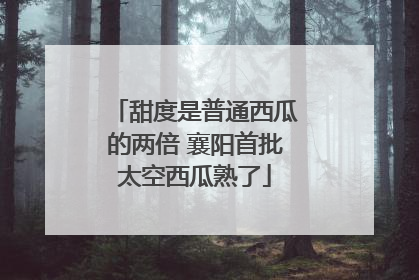 甜度是普通西瓜的两倍 襄阳首批太空西瓜熟了