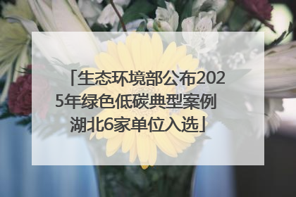 生态环境部公布2025年绿色低碳典型案例 湖北6家单位入选