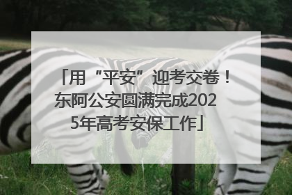 用“平安”迎考交卷！东阿公安圆满完成2025年高考安保工作
