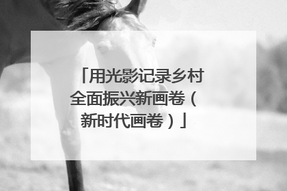 用光影记录乡村全面振兴新画卷（新时代画卷）