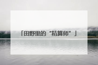 田野里的“精算师”