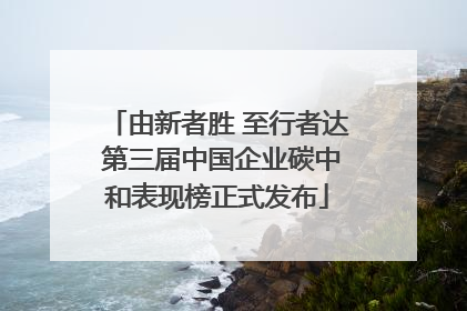 由新者胜 至行者达 第三届中国企业碳中和表现榜正式发布