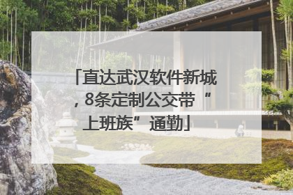 直达武汉软件新城，8条定制公交带“上班族”通勤