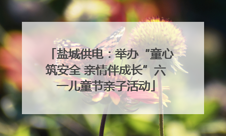 盐城供电：举办“童心筑安全 亲情伴成长”六一儿童节亲子活动