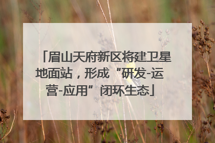 眉山天府新区将建卫星地面站，形成“研发-运营-应用”闭环生态