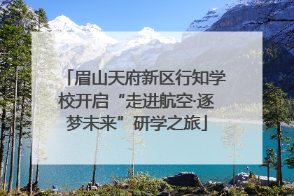 眉山天府新区行知学校开启“走进航空·逐梦未来”研学之旅
