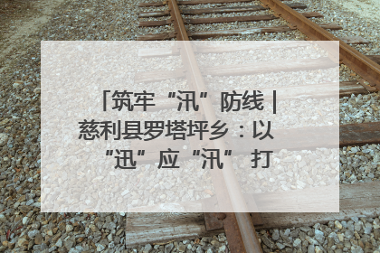 筑牢“汛”防线｜慈利县罗塔坪乡：以“迅”应“汛” 打赢暴雨防御战