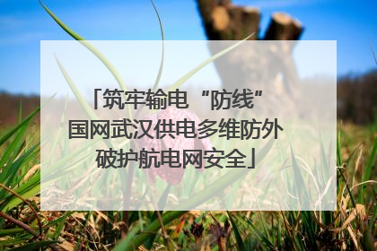 筑牢输电“防线” 国网武汉供电多维防外破护航电网安全