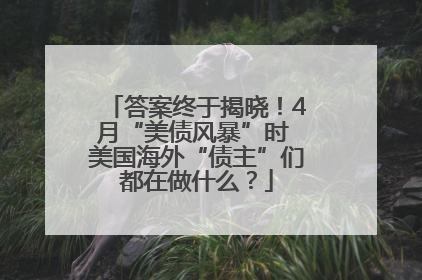 答案终于揭晓！4月“美债风暴”时 美国海外“债主”们都在做什么？