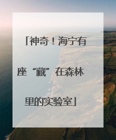 神奇！海宁有座“藏”在森林里的实验室