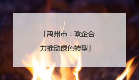 禹州市：政企合力推动绿色转型