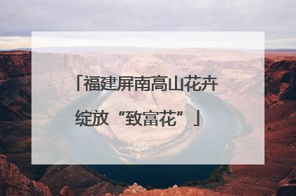 福建屏南高山花卉绽放“致富花”