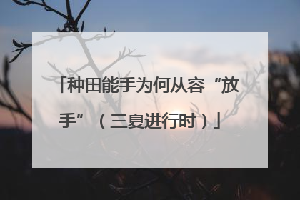 种田能手为何从容“放手”（三夏进行时）