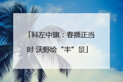 科左中旗：春播正当时 沃野绘“丰”景