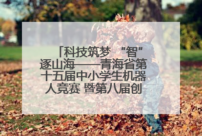 科技筑梦 “智”逐山海——青海省第十五届中小学生机器人竞赛 暨第八届创新设计大赛见闻