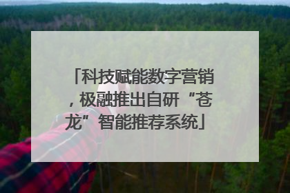 科技赋能数字营销，极融推出自研“苍龙”智能推荐系统