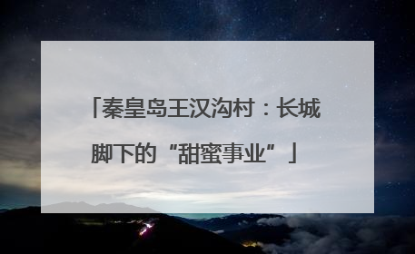 秦皇岛王汉沟村：长城脚下的“甜蜜事业”