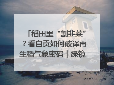 稻田里“割韭菜”？看自贡如何破译再生稻气象密码｜绿镜头·发现中国