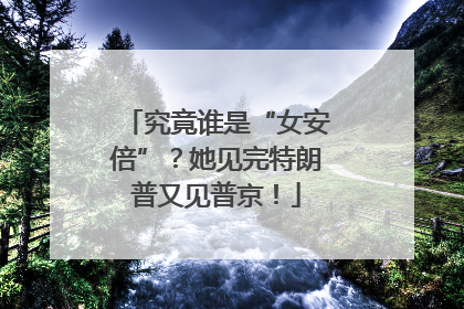 究竟谁是“女安倍”？她见完特朗普又见普京！