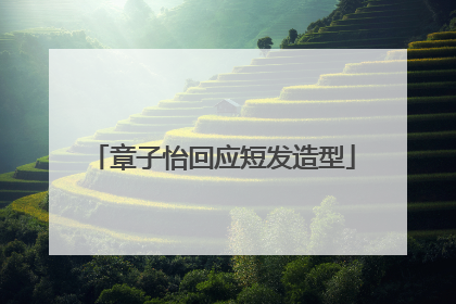 章子怡回应短发造型