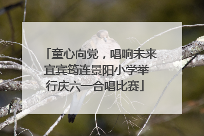 童心向党，唱响未来 宜宾筠连景阳小学举行庆六一合唱比赛
