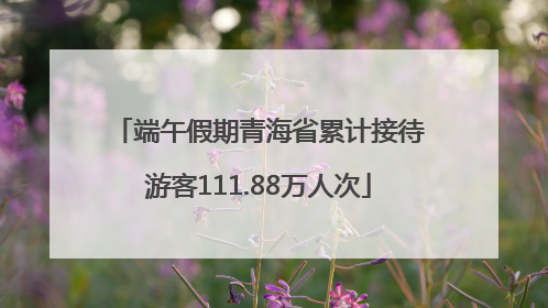 端午假期青海省累计接待游客111.88万人次