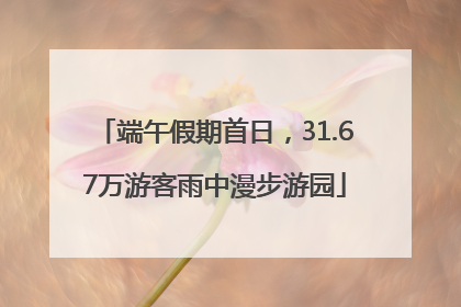端午假期首日，31.67万游客雨中漫步游园