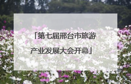 第七届邢台市旅游产业发展大会开幕