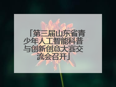 第三届山东省青少年人工智能科普与创新创意大赛交流会召开