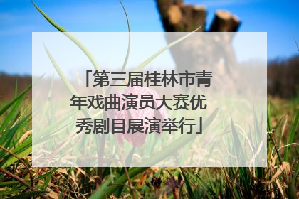 第三届桂林市青年戏曲演员大赛优秀剧目展演举行
