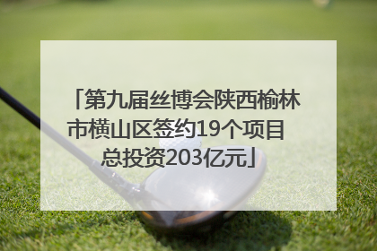 第九届丝博会陕西榆林市横山区签约19个项目 总投资203亿元